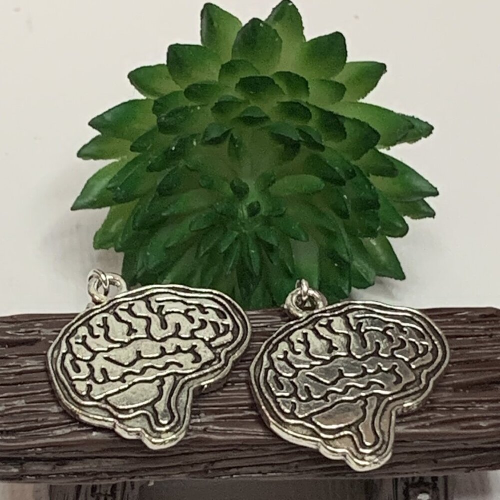 Brain Earring, Anatomy Earring, Teacher Earring, Zombie Earring, Halloween, MD